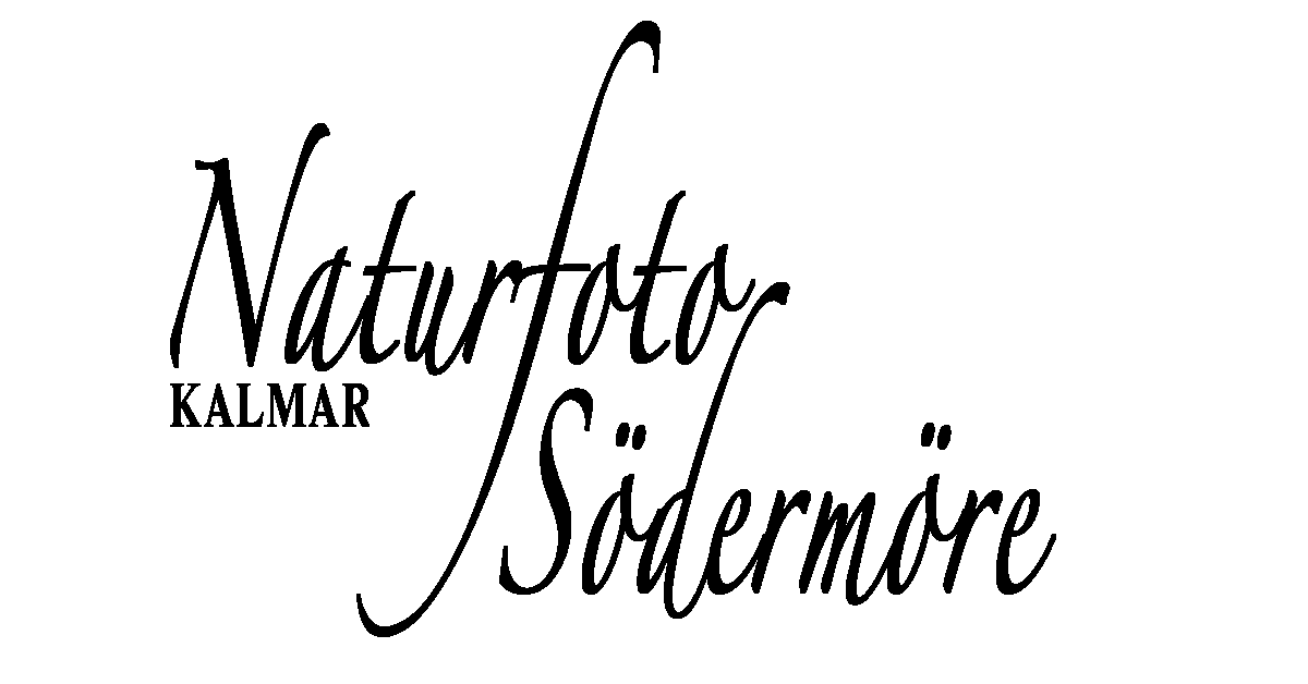 Naturfoto Södermöre